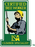 ISA Certified Tree Worker Climber Specialist - RS Trädvård - Arborist, beskärning, Avesta, Sala, Hedemora