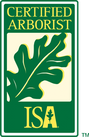 ISA Certified Arborist - RS Trädvård - Arborist, trädfällning, beskärning, Avesta, Sala, Norberg, Hedemora, Horndal