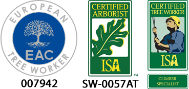 RS Trädvård & yrkesklättring - Arborist, trädfällning, beskärning, Avesta, Sala, Norberg, Hedemora, Horndal