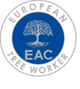 ETW - European Tree Worker - RS Trädvård - Arborist, trädfällning, beskärning, Avesta, Sala, Norberg, Hedemora, Horndal